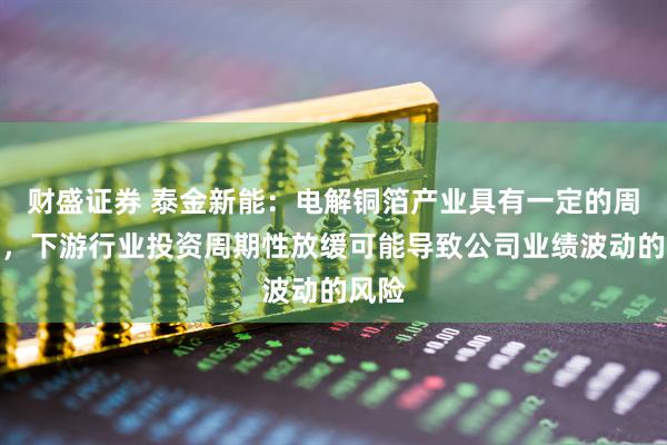 财盛证券 泰金新能：电解铜箔产业具有一定的周期性，下游行业投资周期性放缓可能导致公司业绩波动的风险