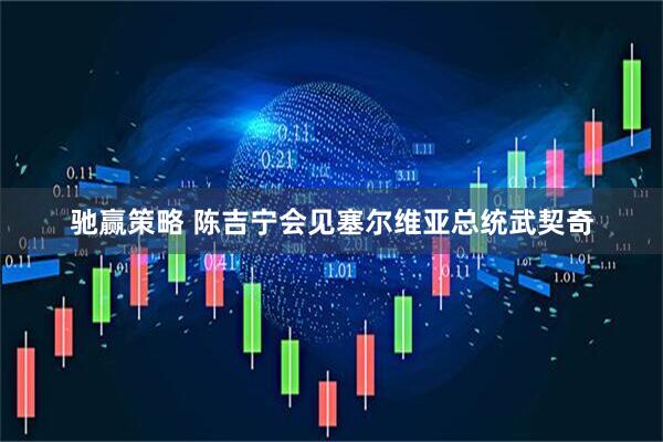 驰赢策略 陈吉宁会见塞尔维亚总统武契奇