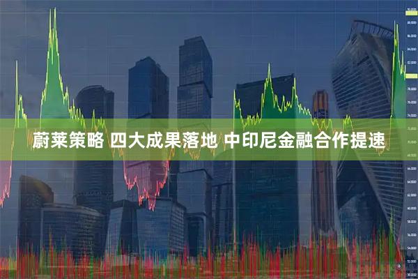 蔚莱策略 四大成果落地 中印尼金融合作提速