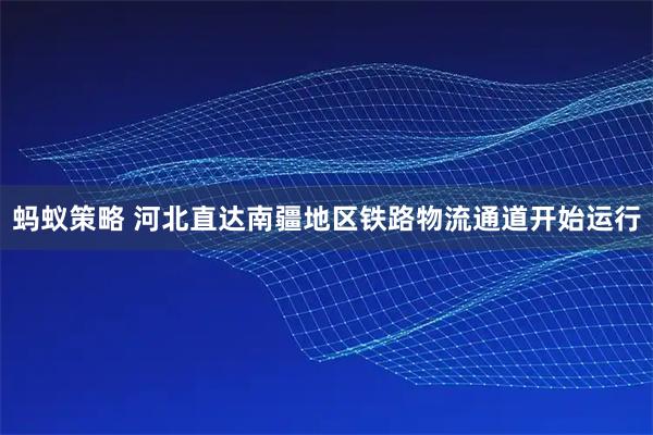 蚂蚁策略 河北直达南疆地区铁路物流通道开始运行
